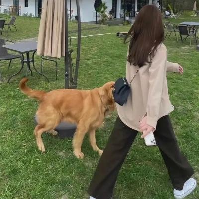 旋风客